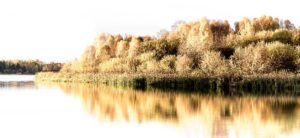 Tips For Working When Away From Home