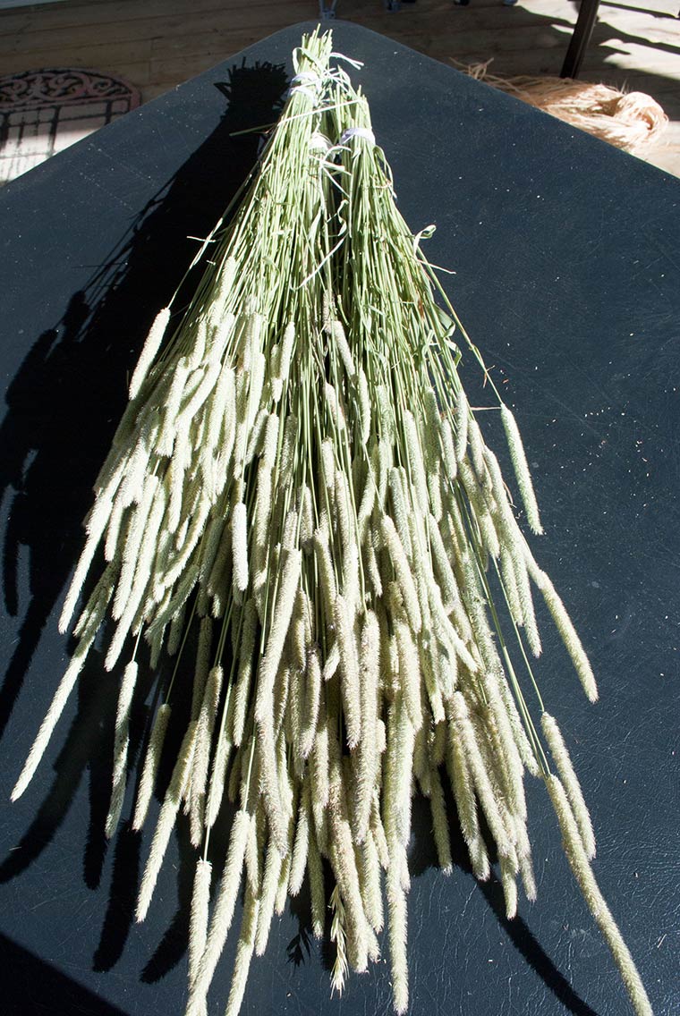 Dried Topiary Tutorial