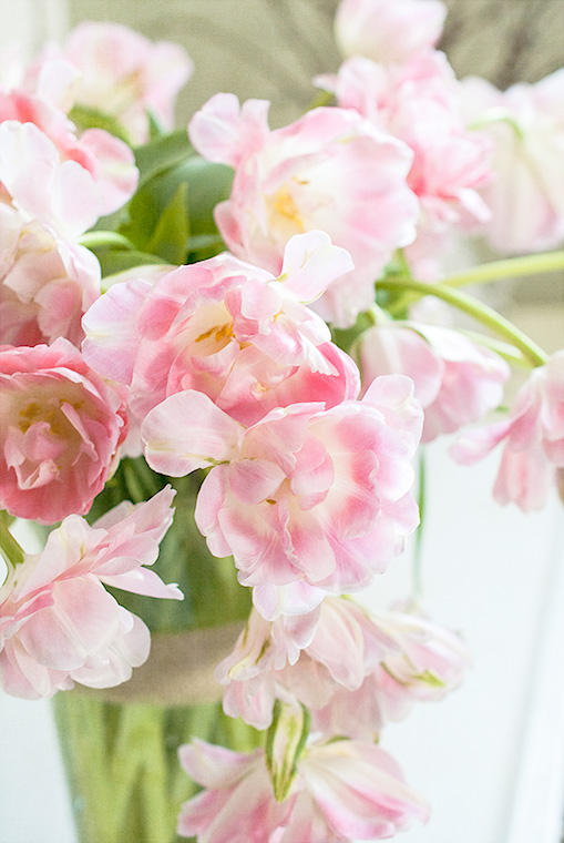Tulips-Pink-Frilly3