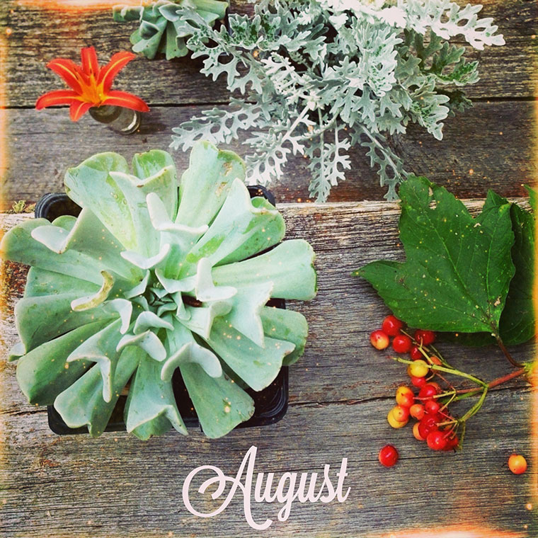 August-Potting-Bench