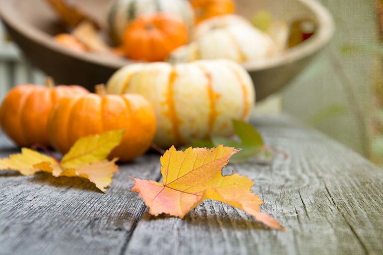 Autumn-Leaves-Pumpkins-1