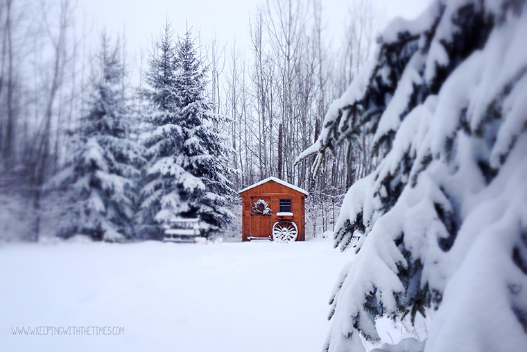 snowy shed, instagram, keeping with the times