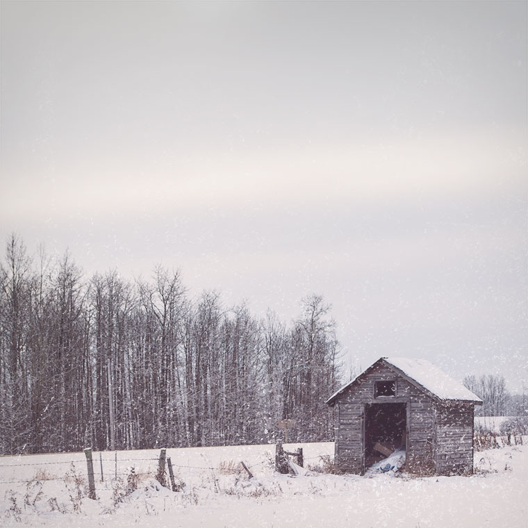 Shed-in-Winter