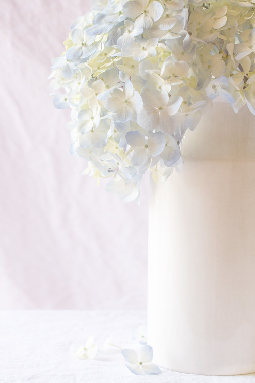 Hydrangea White Vase, Texture Tuesday