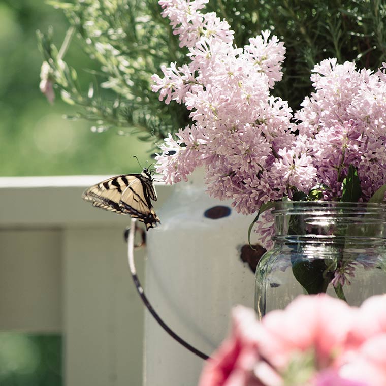 Friday Finds: Butterfly and Lilacs, keeping with the times