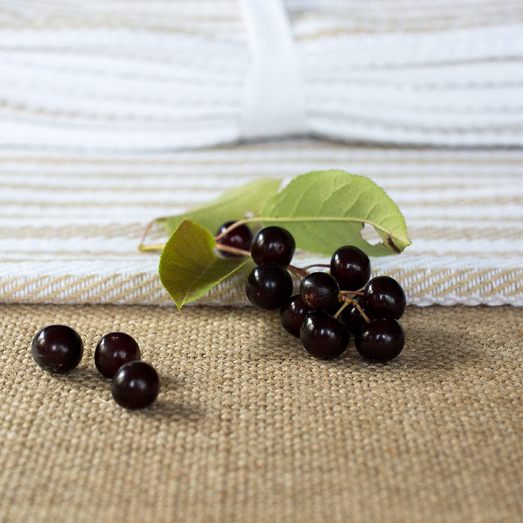 Chokecherry on Towel, Friday Finds, Keeping with the Times