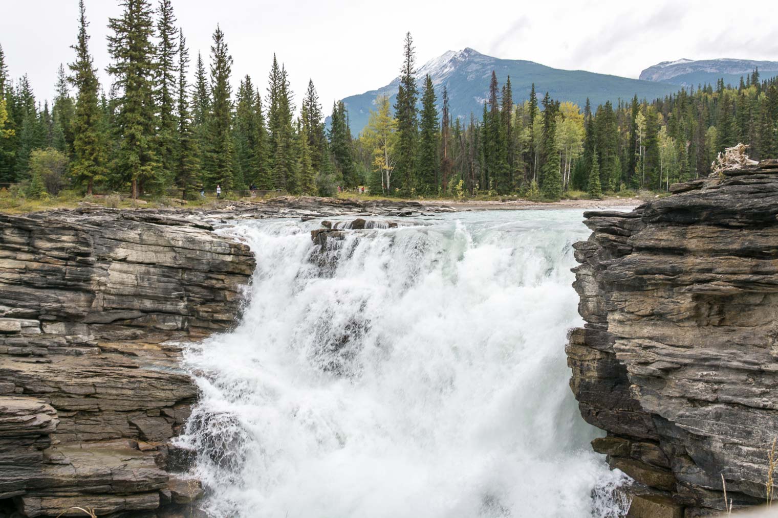 Canadian Rockies Getaway, Athabasca Falls, Keeping With the Times, Barb Brookbank