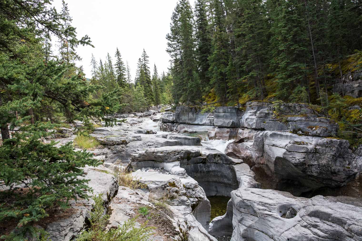 Canadian Rocky Mountains, Maligne Canyon, Keeping With the Times