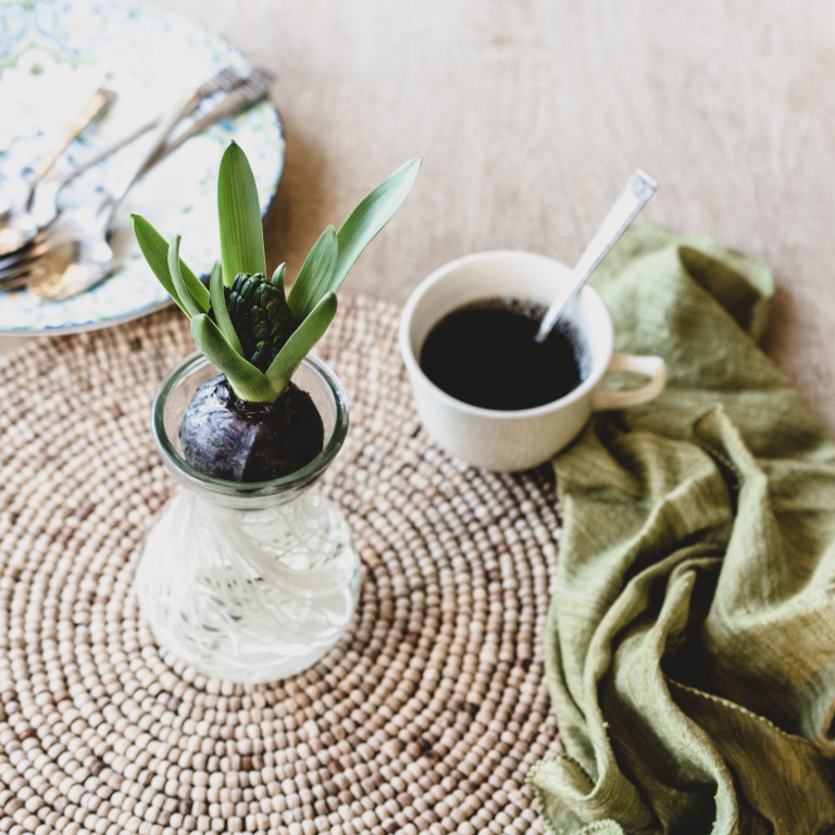 Hyacinth Bulb in Glass Vase Keeping With The Times
