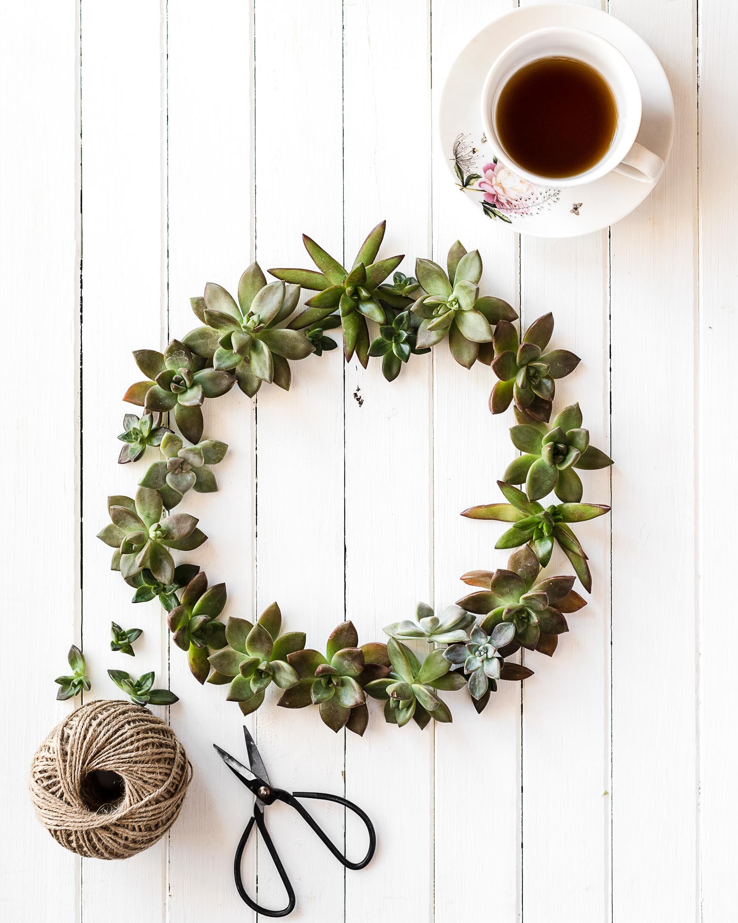 Five Things Friday, Succulent Wreath, Barb Brookbank, Keeping With the Times