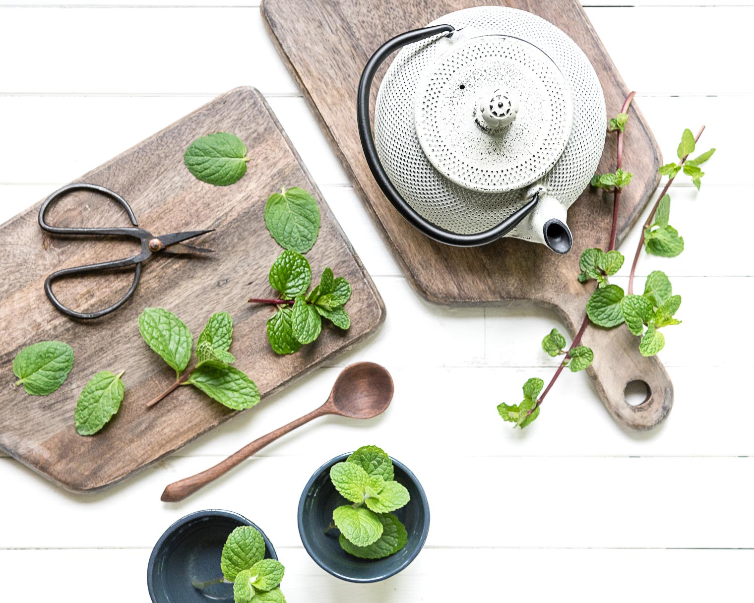 Mint tea is soothing and refreshing, and if you can use fresh mint it's especially delightful. Growing mint is easy and satisfying as this plant is vigorous and aggressive. If you're growing mint, I would suggest you plant it in a container up off the ground or it will take over your garden!